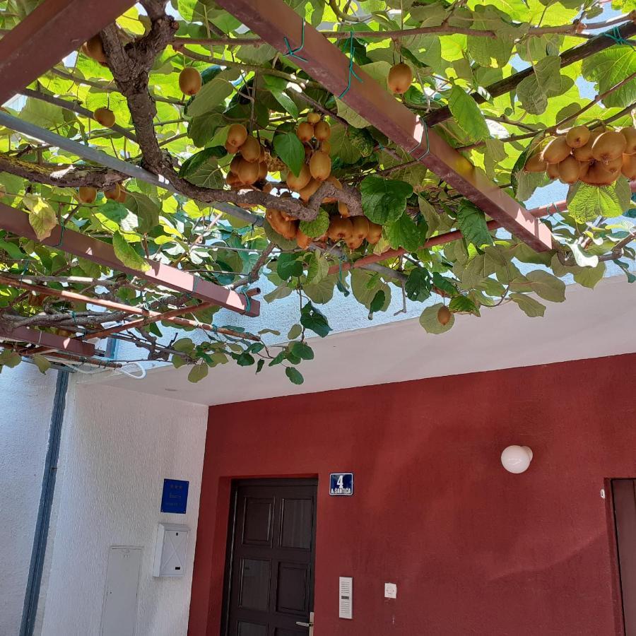 Ferienwohnung App Milka Poreč Exterior foto